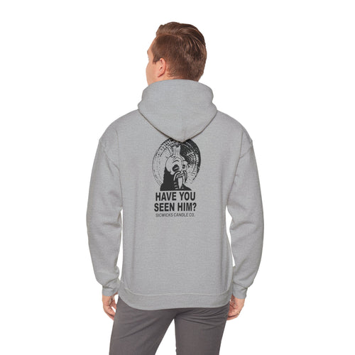 Unisex Heavy Blend™ Hooded Sweatshirt - Have you seen him?